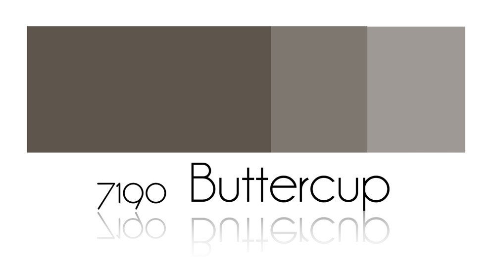 Buttercup – 7190 N