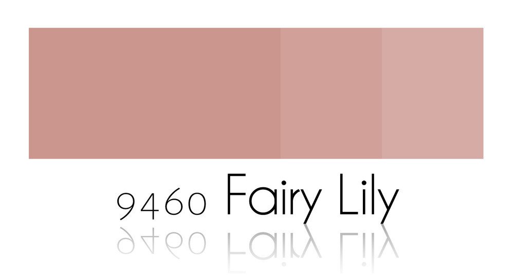 Fairy Lily – 9460 C/N