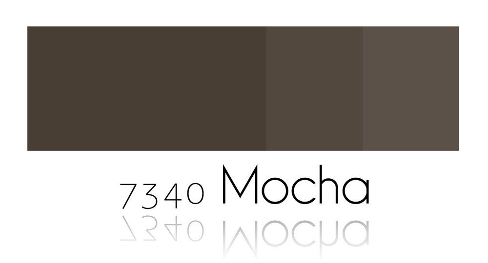 Mocha – 7340 C